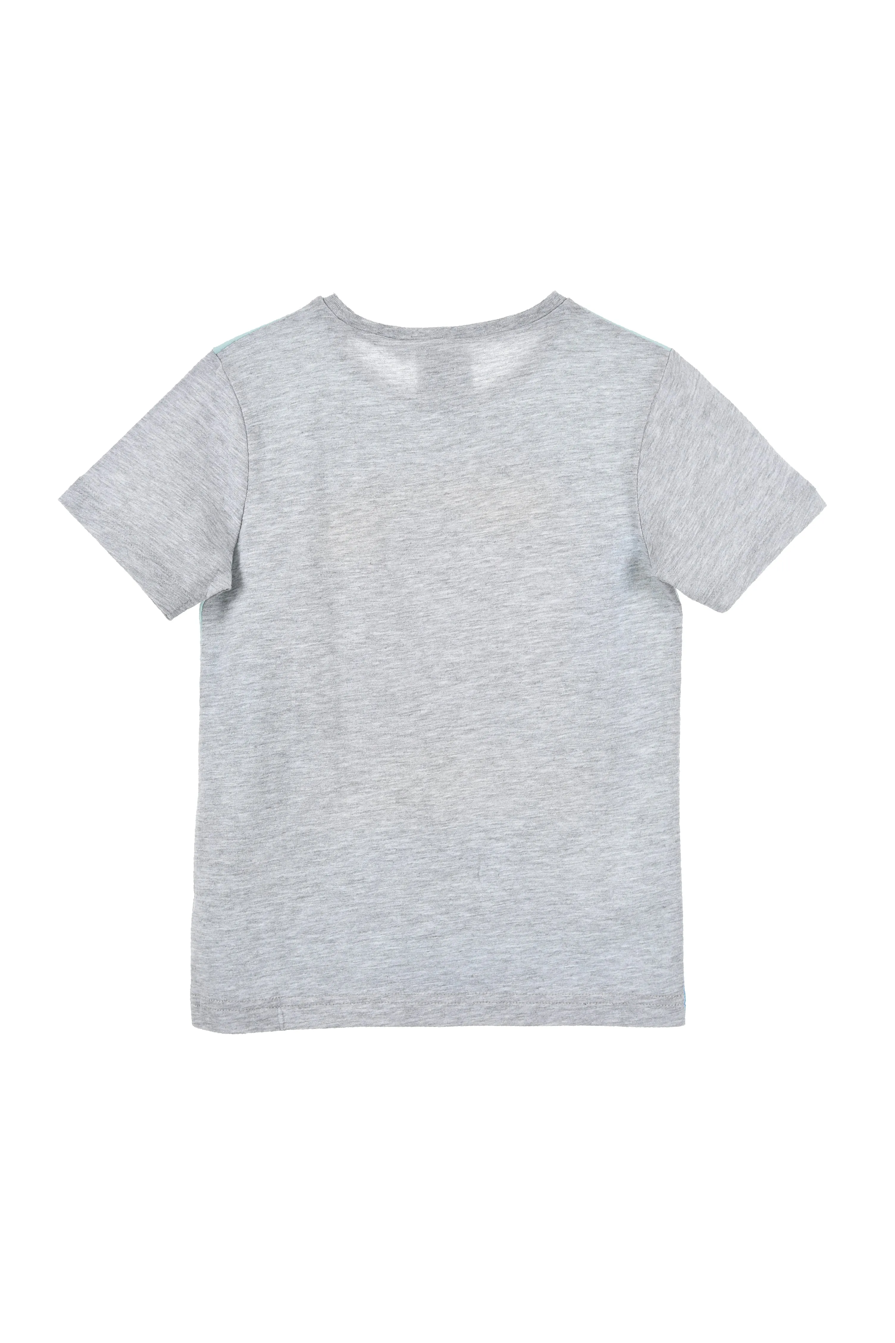 Boys Team Zafari Unique T- Shirt