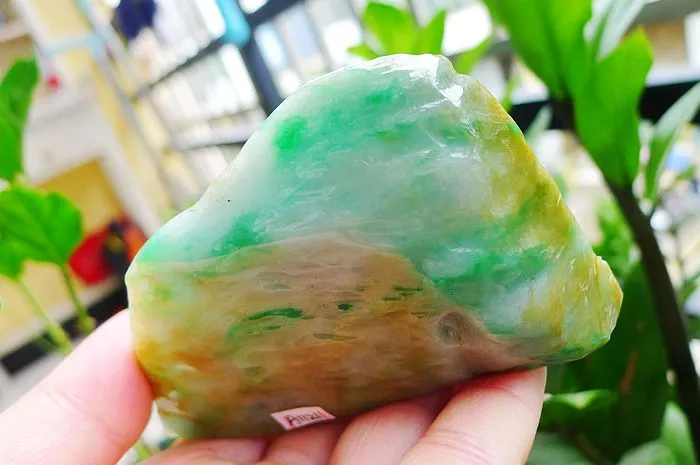 Natural Jade Rough Jadeite Raw (172g,9X5.7X2cm)
